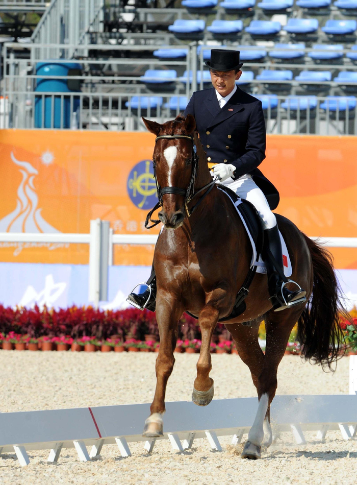 中国新生代马术选手展现实力